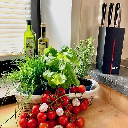 Hébergement de vacances Stadtvilla Belle Kitz Im Zentrum Mit Sauna By Belle