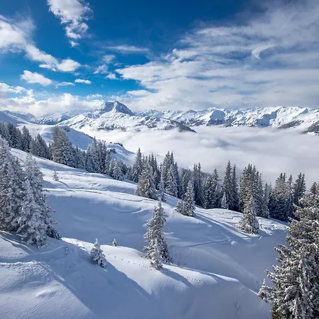 בית נופש Stadtvilla Belle Kitz Im Zentrum Mit Sauna By Belle *