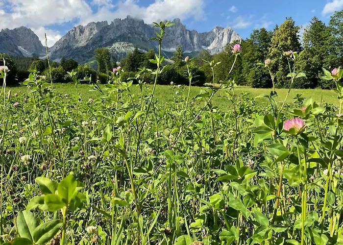 Stadtvilla Belle Kitz Im Zentrum Mit Sauna By Belle Дом отдыха Кицбюэль